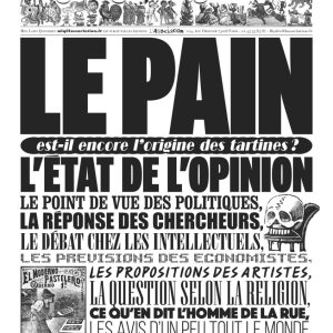Mon Lapin Quotidien #11