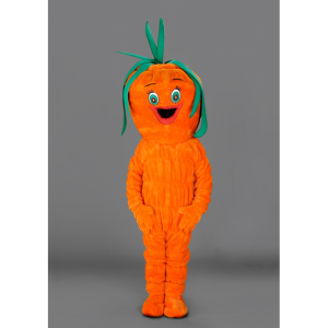 Deguisement : Mascotte carotte crue